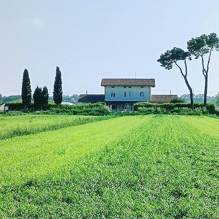 파이스툼 La Ricarda Dimora Di Campagna B&B 외부 사진