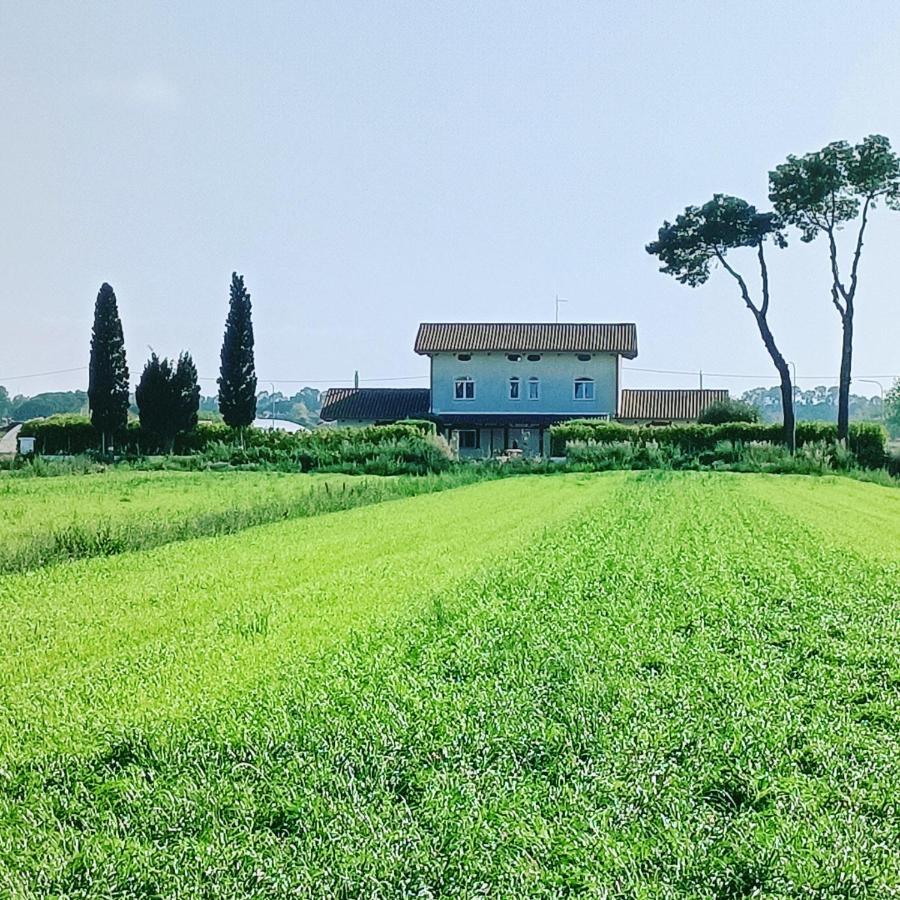 파이스툼 La Ricarda Dimora Di Campagna B&B 외부 사진