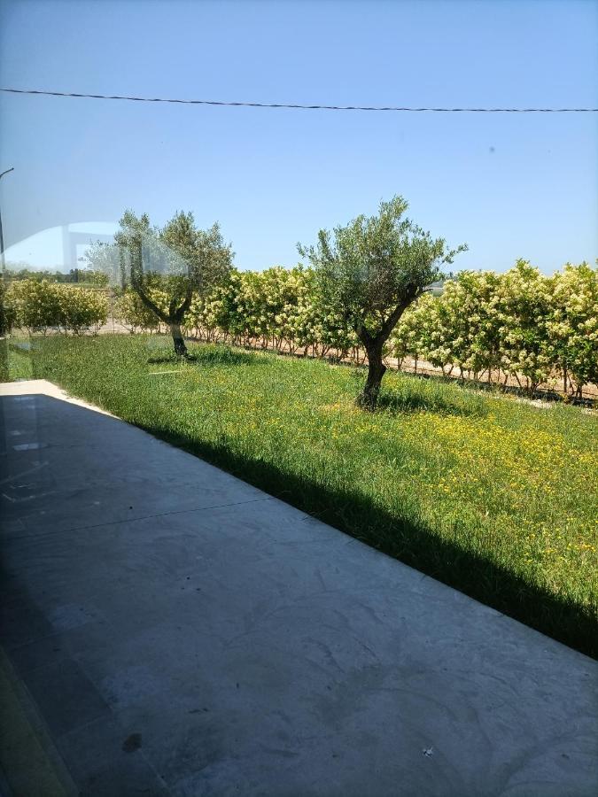 파이스툼 La Ricarda Dimora Di Campagna B&B 외부 사진