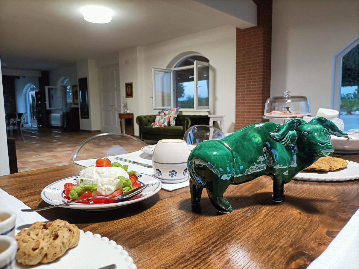 파이스툼 La Ricarda Dimora Di Campagna B&B 외부 사진